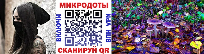 MEGA ONION Гатчина Галлюциногенные грибы мухоморы